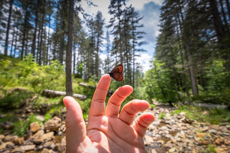 Magic Leafage